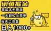 闲鱼掘金项目，零成本无货源一天轻松上百单，当天见收益日入1k+【揭秘】