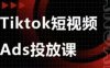 Ads视频投放课，tiktok短视频广告投放课