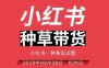 小红书种草带货实训营9月8日杭州线下课，全程录音+字幕，全网唯一小红书实战营