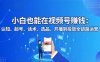 小白也能在视频号赚钱：认知、起号、话术、选品、开播到投放全链路运营