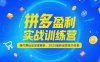 拼多多盈利实战训练营，强付费玩法深度解析，2025运营技巧合集-更新6月