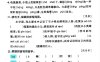 【期末五大专项提升训练】四下语文