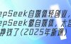 DeepSeek自媒体轻创业，用DeepSeek做自媒体，太容易挣钱了(2025年新课)