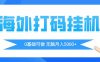 海外打码平挂机项目，全自动撸美金，无脑月入5000+