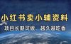 小学教辅资料在小红书这样卖，项目长期稳定收益，越久越吃香