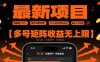 最新挂G项目：谁都能做，操作简单到爆，24 小时全自动运行，日入3位数，多号矩阵收益无上限【揭秘】