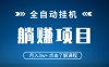 全自动挂机项目 月入3w+ 真正躺平项目 不吃电脑配置 当天见收益