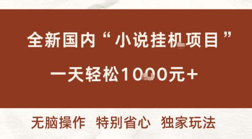 全新国内小说挂G项目，多窗口无脑跑，一天轻松1k+，特别省心【揭秘】