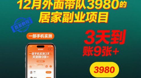 12月外面带队3980的居家副业项目，一部手机实测3天到账9张+，首发教程【揭秘】