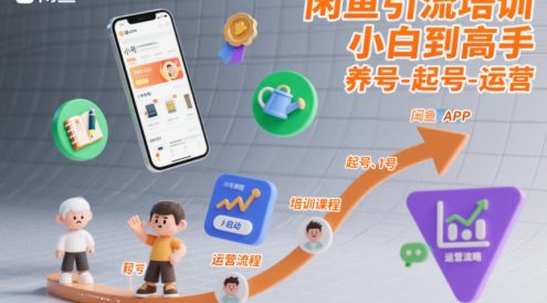 闲鱼引流培训，小白到高手，养号-起号-运营
