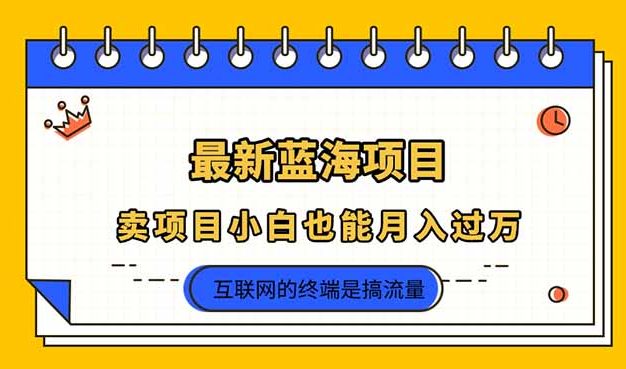 2025年最新蓝海项目,卖项目小白也能月入过万
