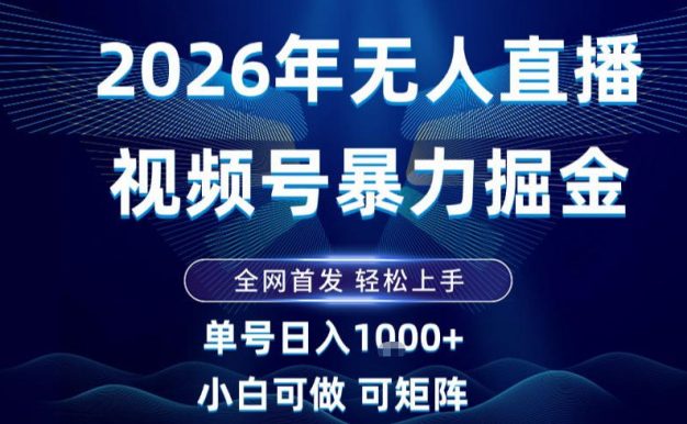 2026最新视频号无人直播掘金,全网首发,小白可以玩,长期稳定日入1k+【揭秘】