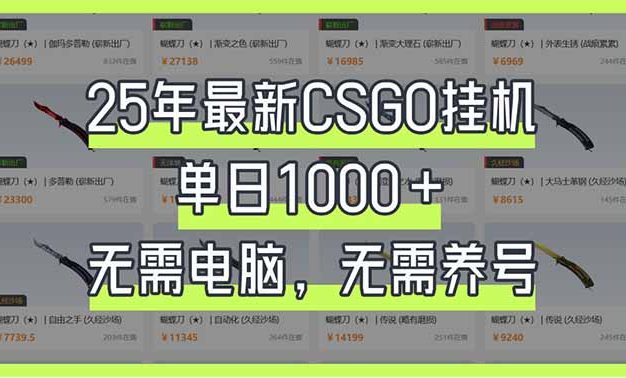 25年最新CSGO挂机系统，单日1000+，无需电脑，无需养号，0基础可上手