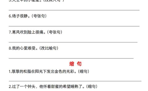 六下语文《六大句型期中考点专练》