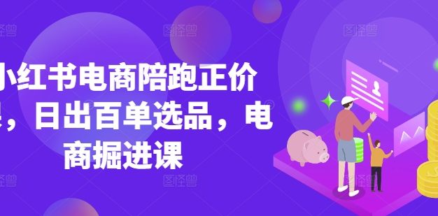 小红书电商陪跑正价课，小红书官方认证电商讲师教学，日出百单选品，电商掘进课
