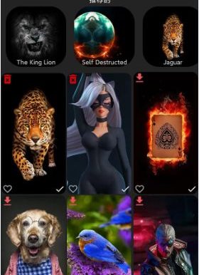Pixel 4D 动态壁纸 v3.4.2.1高级版