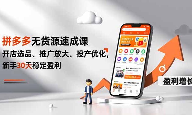 拼多多无货源速成课,开店选品、推广放大、投产优化,新手30天稳定盈利