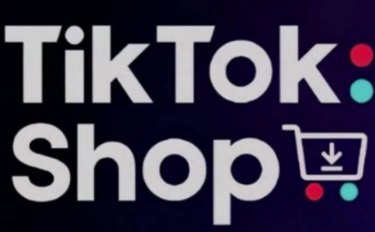 TikTokShop跨境电商0-1实战,手把手教你低成本启动海外市场