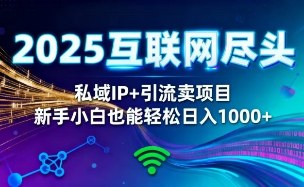 2025网创尽头王炸项目!私域 IP + 精准引流,新手小白在家躺赚日入 1000+