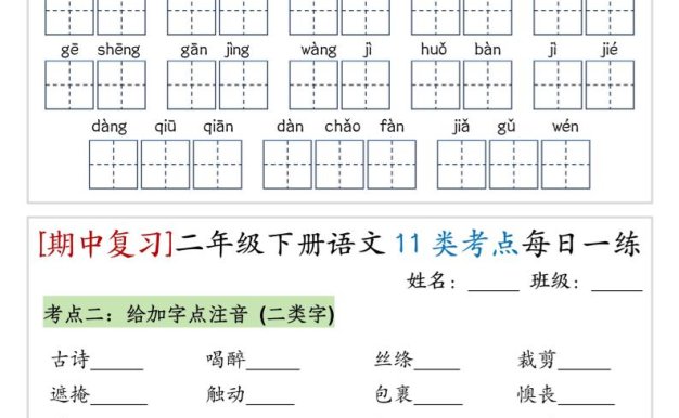 (期中复习)二年级下册语文11类考点每日一练(10页20练)-高清无水印完整版本