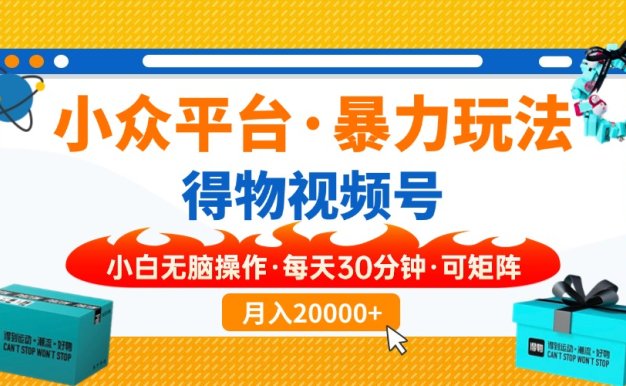 小众平台暴力玩法，一键搬运爆款视频，可矩阵小白无脑操作，每天30分钟…