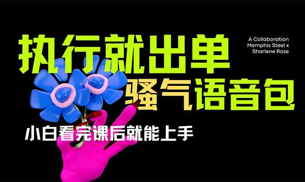 爆火全网的开车导航骚气语音包,只要执行就出单，小白看完课程就能实操…