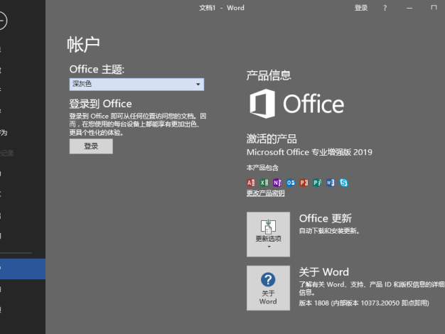 微软Office 2019 25年5月授权版