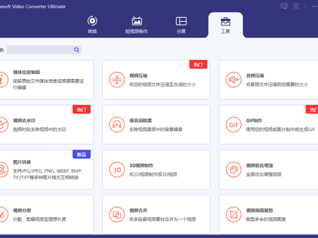 Aiseesoft Video Converter v10.9.8
