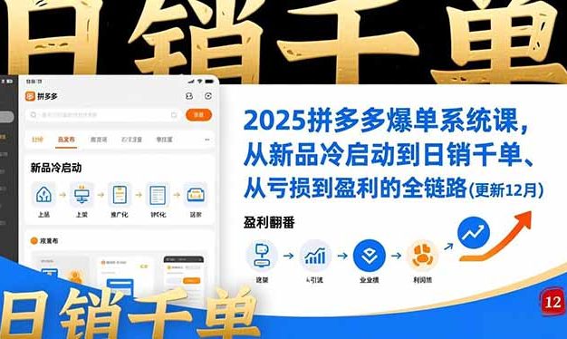 2025拼多多爆单系统课，从新品冷启动到日销千单、从亏损到盈利的全链路(更新12月