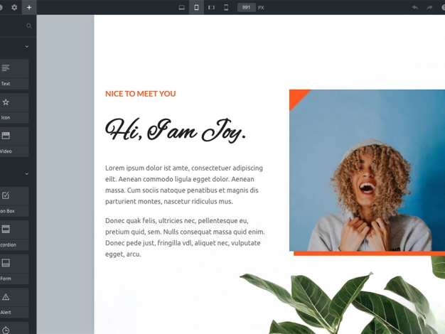 WordPress主题Bricks v1.9 破解版
